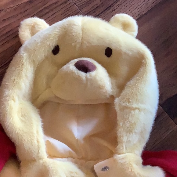 Pottery Barn Kids Winnie the Pooh Costume - Picture 5 of 7
